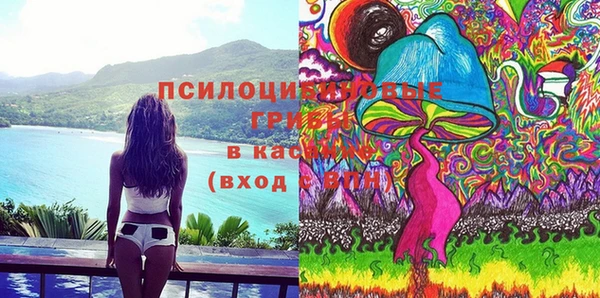 стаф Семикаракорск