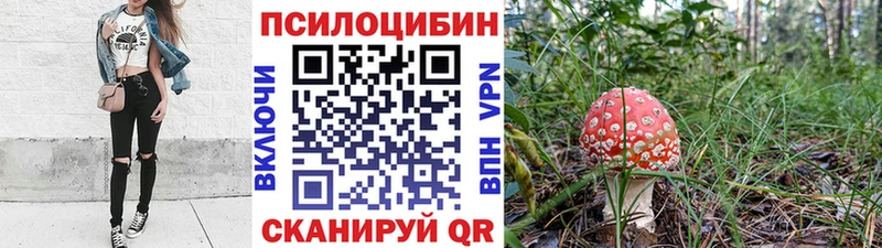 Галлюциногенные грибы Cubensis  МЕГА   Сергач 